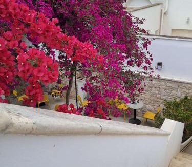 Neviano Bed & Breakfast | B&B Manzoni