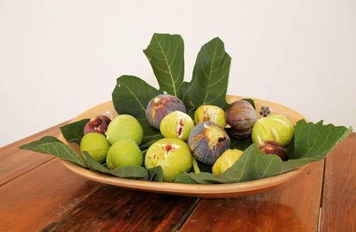 Carpignano Salentino Bed & Breakfast | B&B Masseria Donna Carlotta