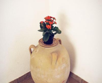 Carpignano Salentino Bed & Breakfast | B&B Masseria Donna Carlotta