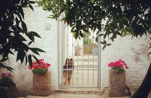Carpignano Salentino Bed & Breakfast | B&B Masseria Donna Carlotta