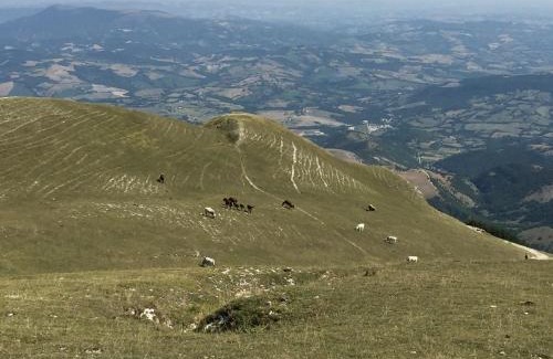 Cantiano Bed & Breakfast | B&B Monte Acuto