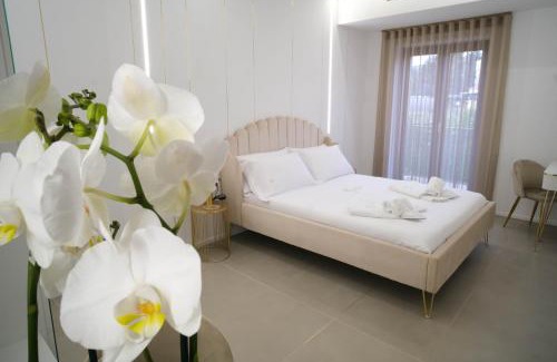 Potenza House | B&B Moon Greeting - design dream's