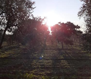 Canosa di Puglia Bed & Breakfast | B&B Posta Piana