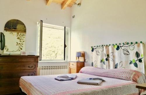 Corticella Bed & Breakfast | B&B Quincas Berro d'Agua