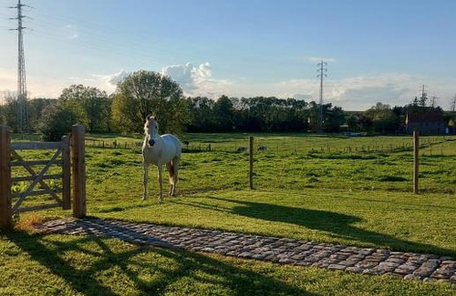 Waanrode Bed & Breakfast | B&B Roos 14