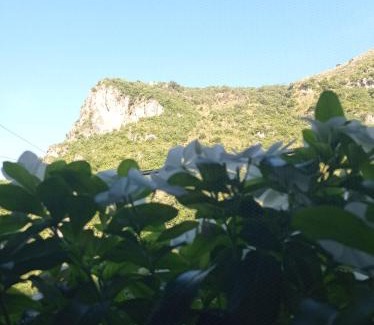 Orsomarso Bed & Breakfast | B&B SAN NILO