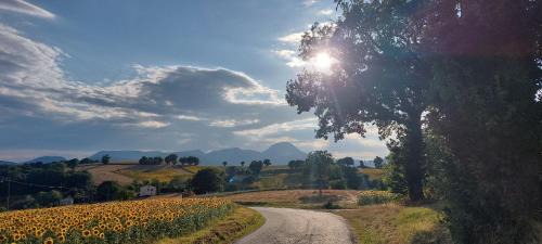 Colcerasa Bed & Breakfast | B&B Straccialena