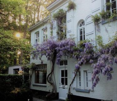 Assebroek Bed & Breakfast | B&B 't Wit Huys Brugge