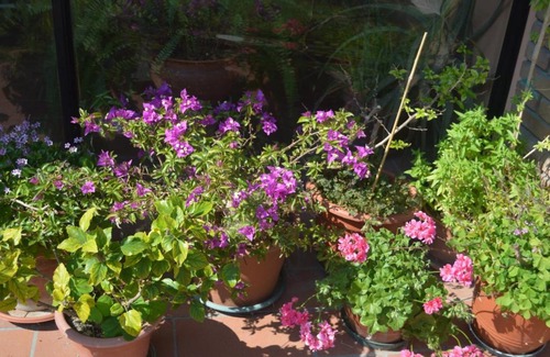 Santarcangelo di Romagna Bed & Breakfast | B&B Tenuta Zavaia