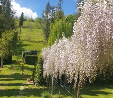 Bigliolo Bed & Breakfast | B&B Tenuta Campo Magliano