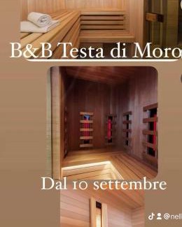 Coste Bed & Breakfast | B&B testa di Moro