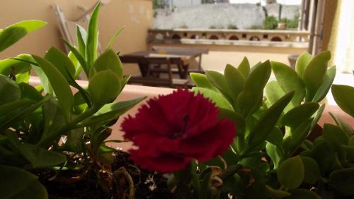 Vico del Gargano Bed & Breakfast | B&B Vico Vacanze