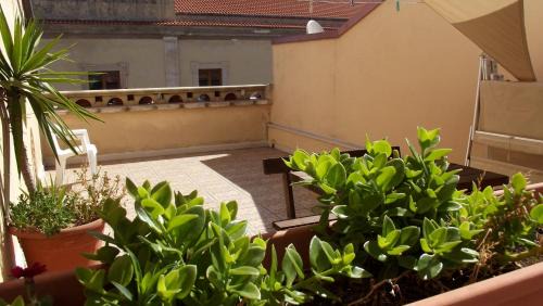 Vico del Gargano Bed & Breakfast | B&B Vico Vacanze