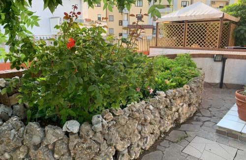 Termoli Bed & Breakfast | B & B Villa Fiorella