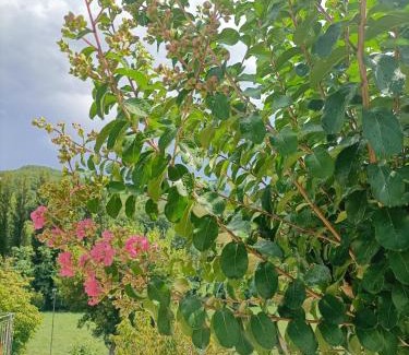 Pietralunga Bed & Breakfast | B&B VILLA GINEVRA