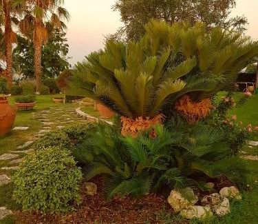 Fossacesia Bed & Breakfast | B&B Villa Moen