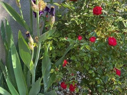 Cameri Bed & Breakfast | B&B Villa Noemi