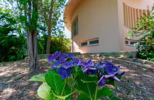 Capoterra Bed & Breakfast | B&B Villa Zola
