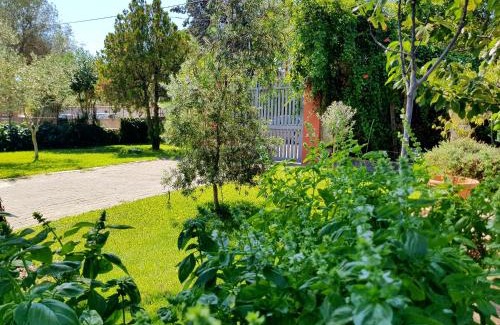 Pedara Bed & Breakfast | B&B Welcome