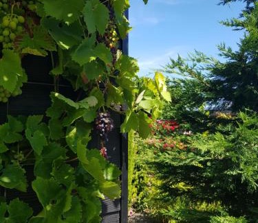 Zierikzee Bed & Breakfast | B&B WELKOM Zierikzee
