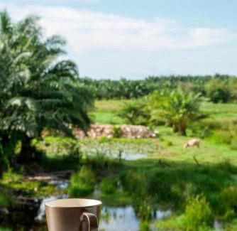 Nakhon Si Thammarat Hotel | B3 Hotel