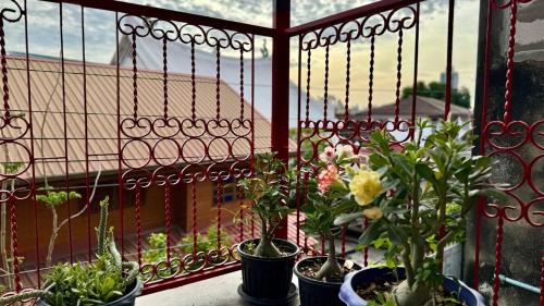 Wat Kanlaya Apartment | Baan PadSeeEw - Rooftop Riverview 3rd floor