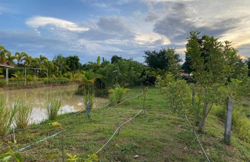 Uttaradit Resort | Baan Suan Palm Resort