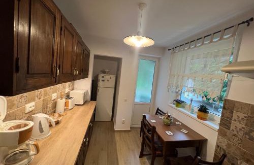 Sovata Apartment | Babi Apartments