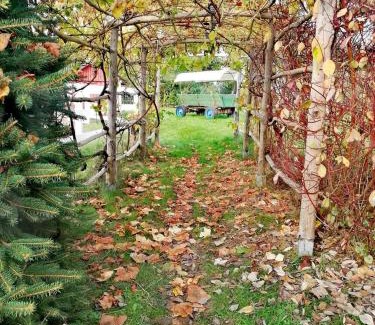 Trzebiatow Cabin | Babie Lato