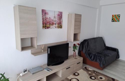 Bacau Apartment | Bacău Central