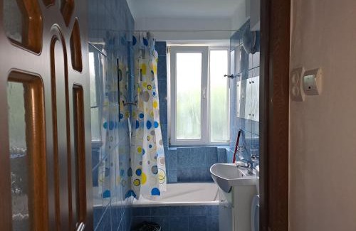 Bacau Apartment | Bacău Central