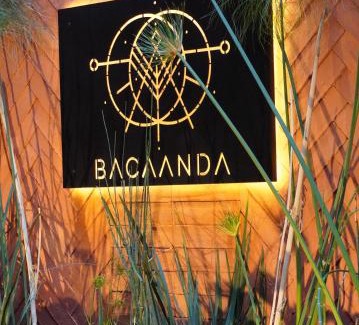 Ruta Independencia House | Bacaanda #2
