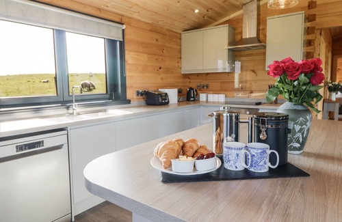 Aberhosan Cottage | BACHEIDDON LOG CABIN, pet friendly, with hot tub in Machynlleth