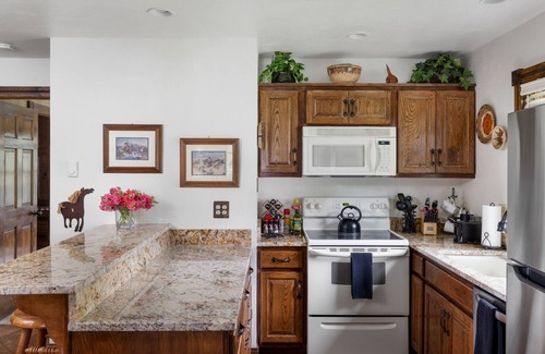 Telluride House | Bachman Village #9, Family-friendly home with backyard - great location!