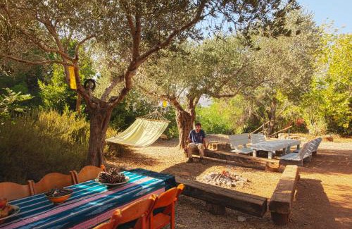 Misgav Other | Back to Nature Camping & Huts