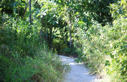 Byron Bay Hostel | Backpackers Inn On The Beach
