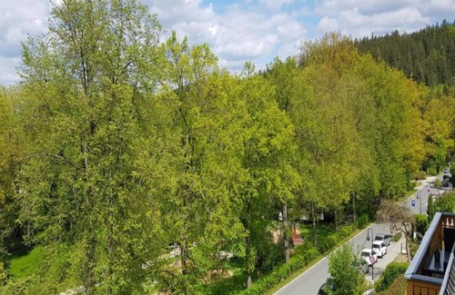 Schwarzenbrunn Apartment | Bad Elster Wohnung in Sohl