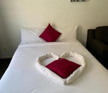 Fenton Street Hotel | Baden Lodge Motel - PRIVATE SPA Bath