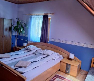 Nemesvamos Apartment | Bagoly Apartman