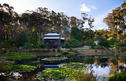Wheatsheaf House | Bainbridge House-beautiful home in native bush