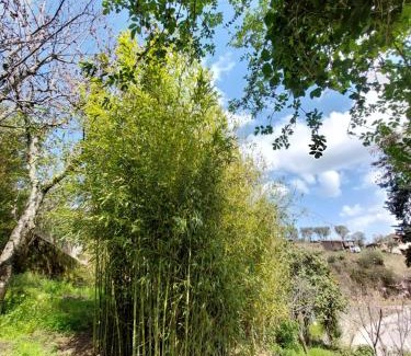 Lamego House | Bairral House