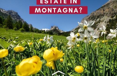 Bardonecchia Apartment | Baita Cianfuran Panorama - Affitti Brevi Italia