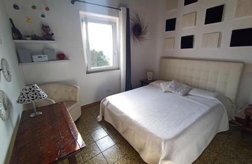 Baja Sardinia House | Baja Sardinia
