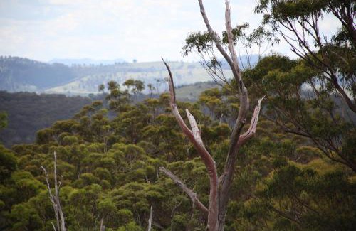 Forest Land Other | Bajimba Eco Camp & and Farm Stay