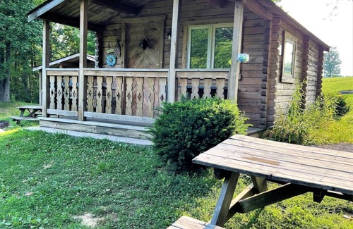 Helmsburg Cabin | "Baker" Camping Cabin #2 | Pet Friendly