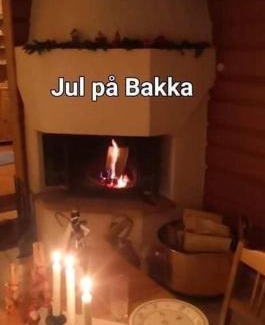 Bolkesjo House | Bakka