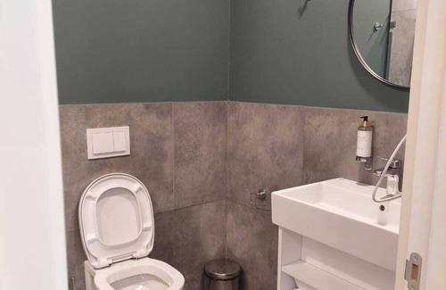 Bakuriani Apartment | Bakuriani apartment m25 (517)