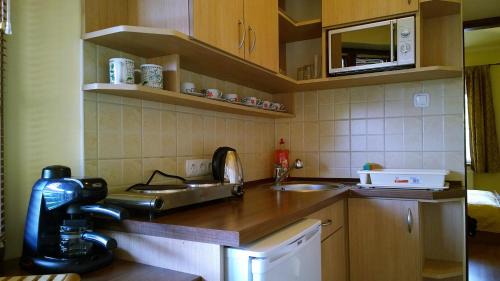 Gyula Apartment | Balázs Szálló
