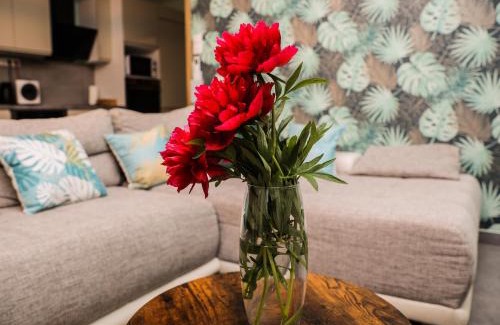 Debrecen Apartment | Balance Apartman Debrecen