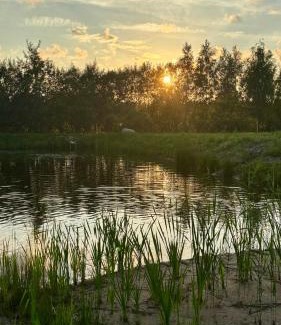 Baldone House | Baldones dabas retrīts - Exclusive private nature retreat with optional jacuzzi and sauna near Riga